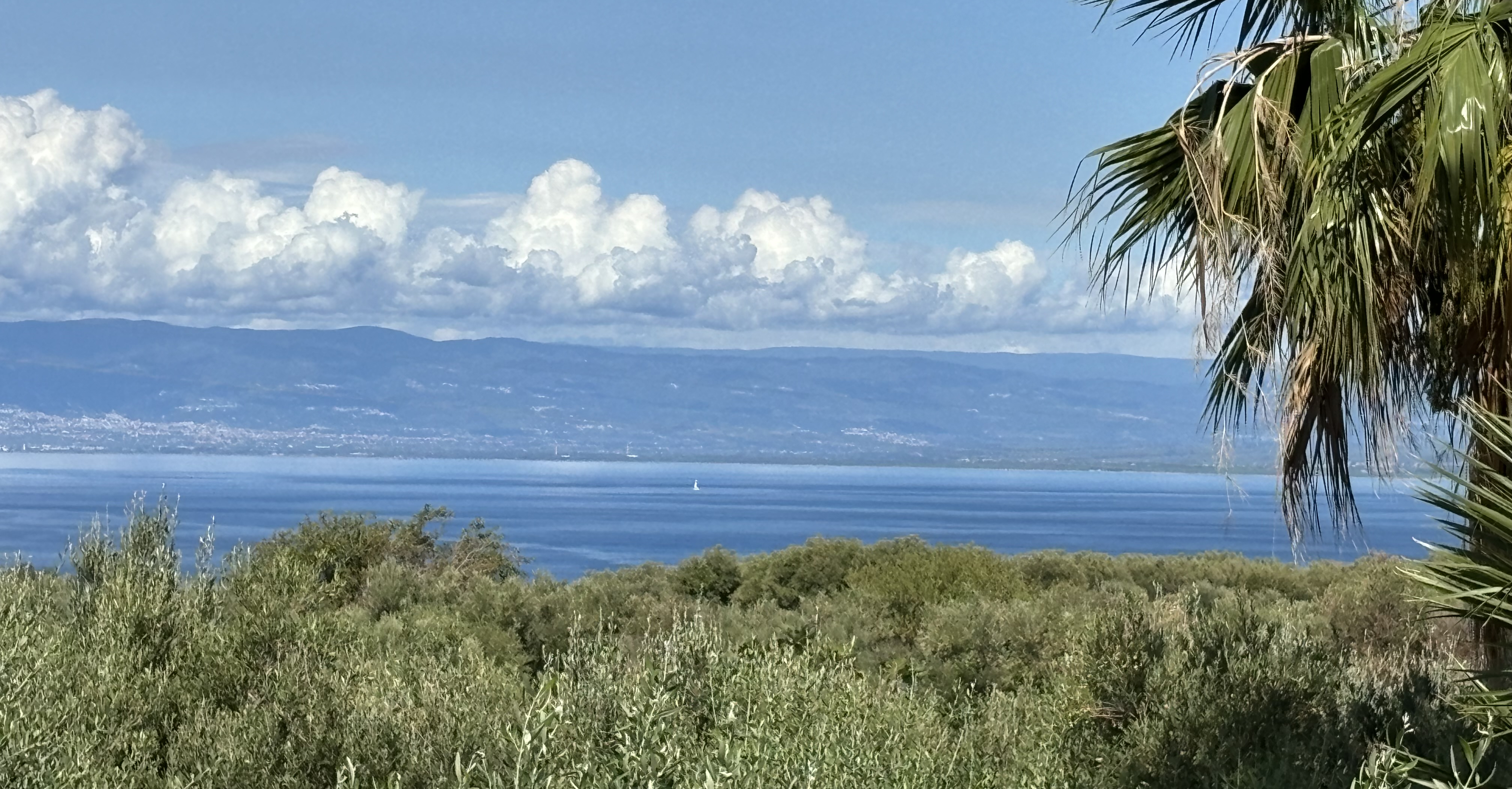 View from Villa Bergamotto